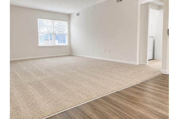 A room with a carpeted floor and a window.